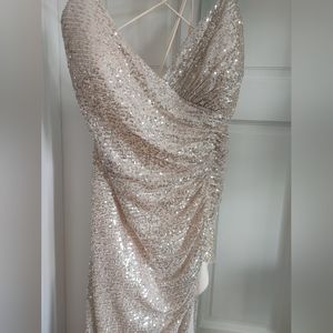 Platinum Dress / Quinceañera Dress / Prom Dress / Ball Gown